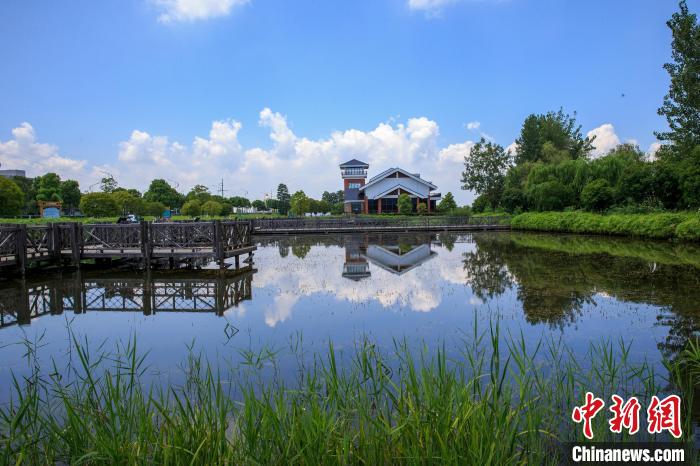 “國際濕地城市”武漢構(gòu)建全過程濕地保護(hù)體系