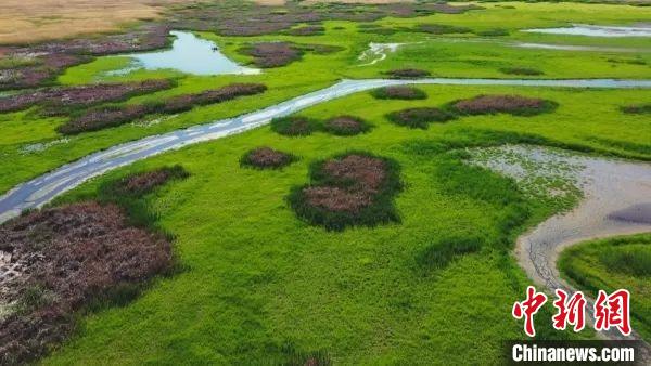 瑪納斯國(guó)家濕地公園，是世界候鳥的重要棲息地繁殖地，是候鳥飛越天山的“能量補(bǔ)充站”。　瓦力斯江 攝