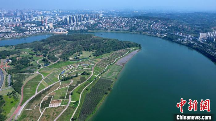俯瞰邕江濕地公園，風景宜人。　俞靖 　攝