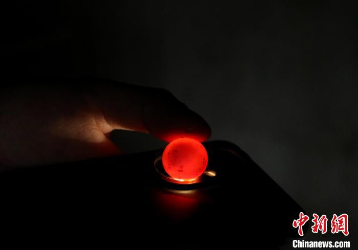 在肥西縣銘傳鄉(xiāng)白龍村稻鱉共養(yǎng)基地內(nèi)，一只鱉蛋里幼鱉正在長成?！￡惣覙?攝