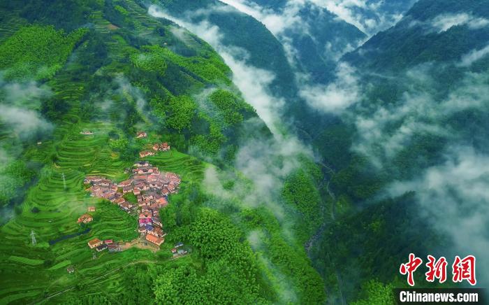 “八八戰(zhàn)略”開放記：秀山麗水如何耕甜“地瓜”？