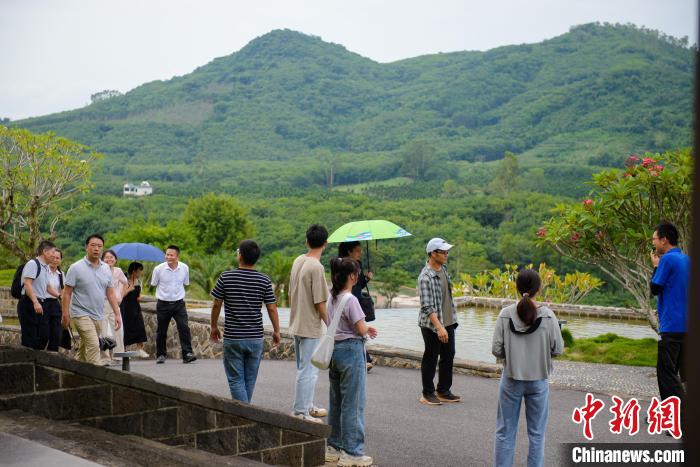 游客游覽嘉禾共享農(nóng)莊。