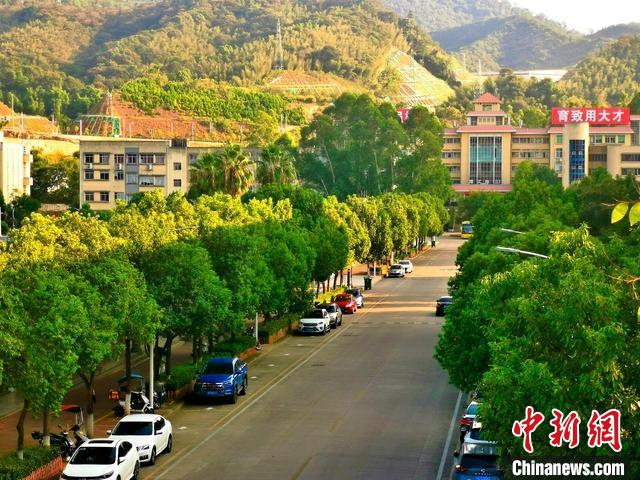 圖為三明學(xué)院校園一角?！∪鲗W(xué)院供圖