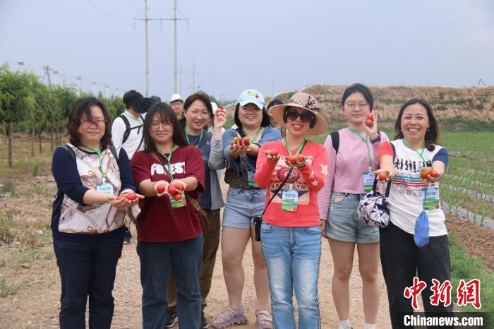 圖為臺(tái)胞體驗(yàn)大美內(nèi)蒙古。　托婭供圖