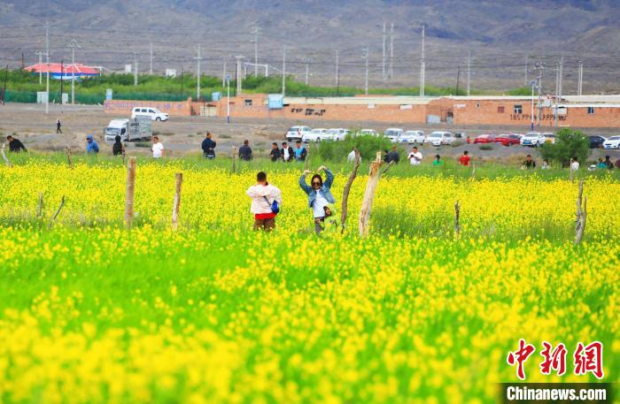 游客在油菜花海中拍照?！⊥锌诉d縣委宣傳部供圖