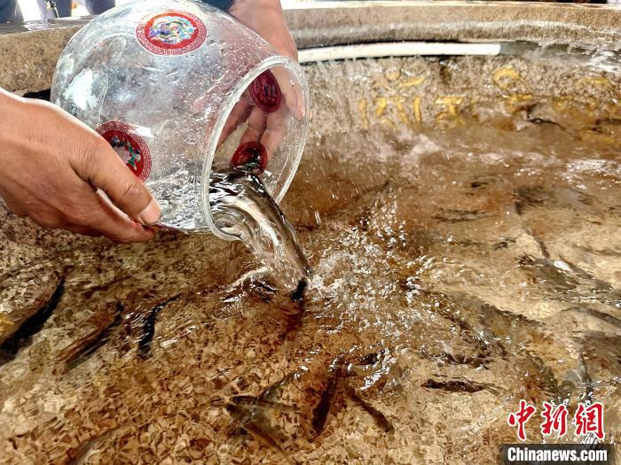 圖為當?shù)孛癖姺帕髑嗪：沲??！±铍h 攝