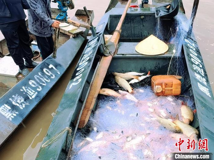 禁漁期結(jié)束，漁民下江打魚(yú)收獲滿滿?！⊥跤?攝