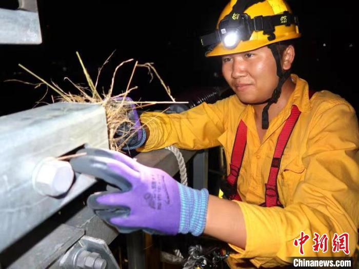中老鐵路：深夜，“小黃人”幫小鳥(niǎo)搬“新家”