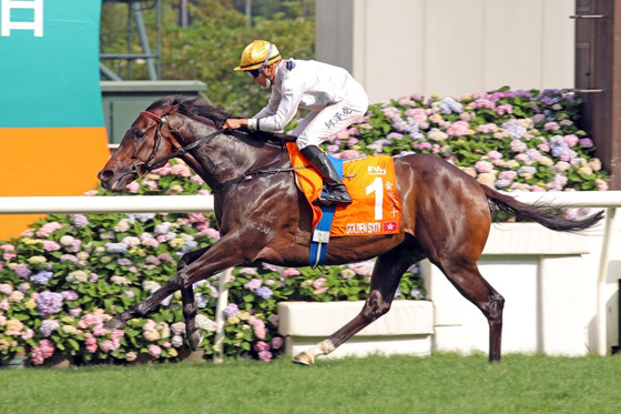星級賽駒“金槍六十”三奪“香港馬王”殊榮。（香港賽馬會供圖）