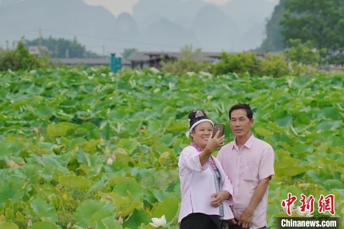 圖為游客在百朋下倫荷花景區(qū)中賞荷拍照?！№f國政 攝