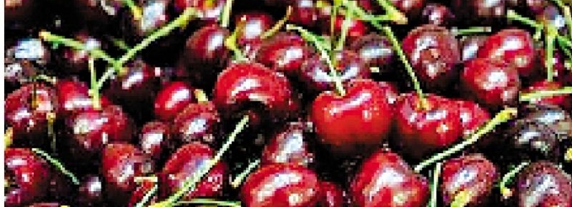放寬美日農(nóng)藥超標水果進口刁難大陸產(chǎn)品 民進黨當局“反中”心態(tài)畸形