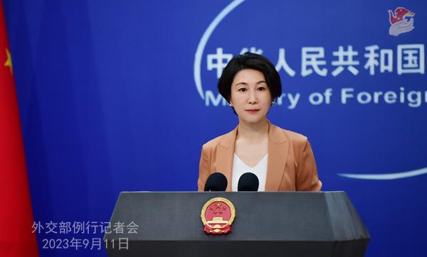 中方：G20新德里峰會宣言是各方協(xié)商一致達成的，反映了各成員國的共識