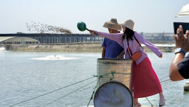 大家一起來(lái)喂魚(yú)