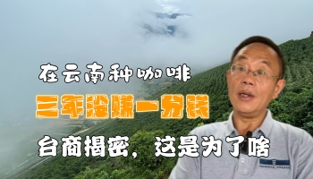 【滇西行】在云南種咖啡三年未賺一分錢？！臺(tái)商揭密個(gè)中原因