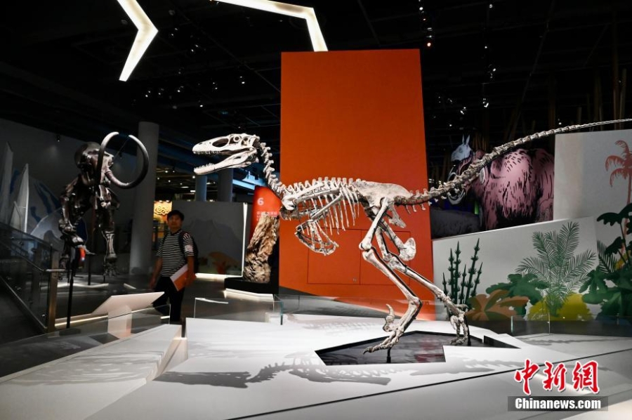 香港科學館展覽展示6.35億年以來地球生命的演化