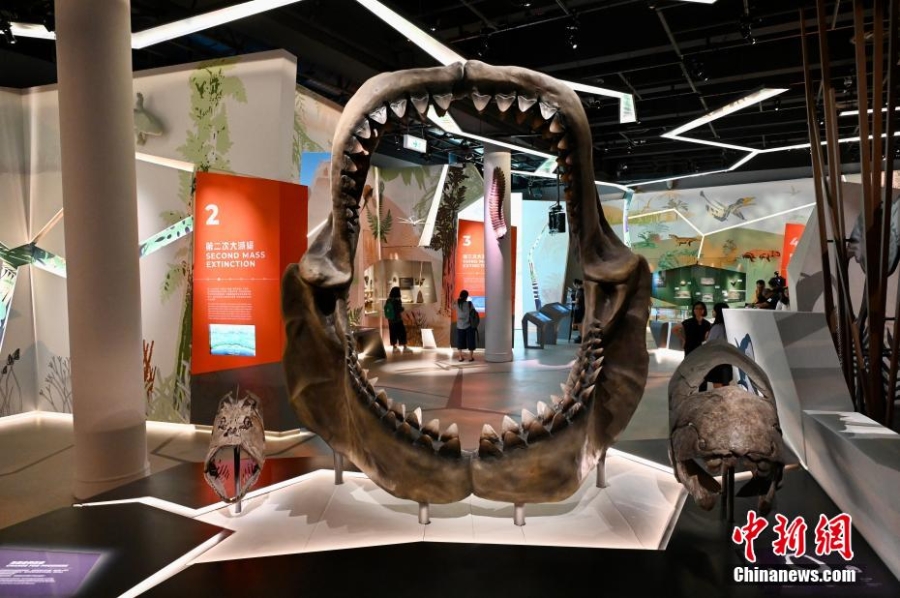 香港科學館展覽展示6.35億年以來地球生命的演化