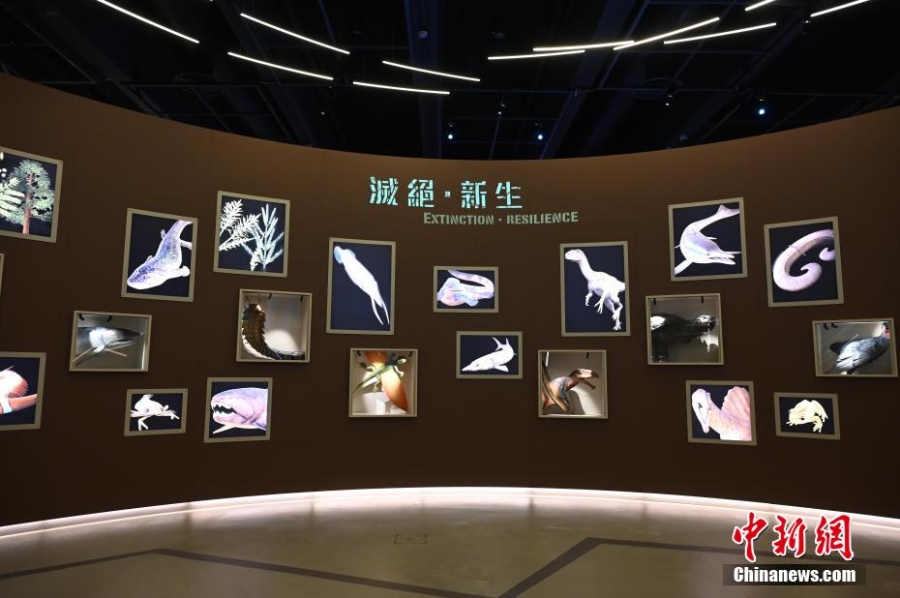 香港科學(xué)館展覽展示6.35億年以來(lái)地球生命的演化