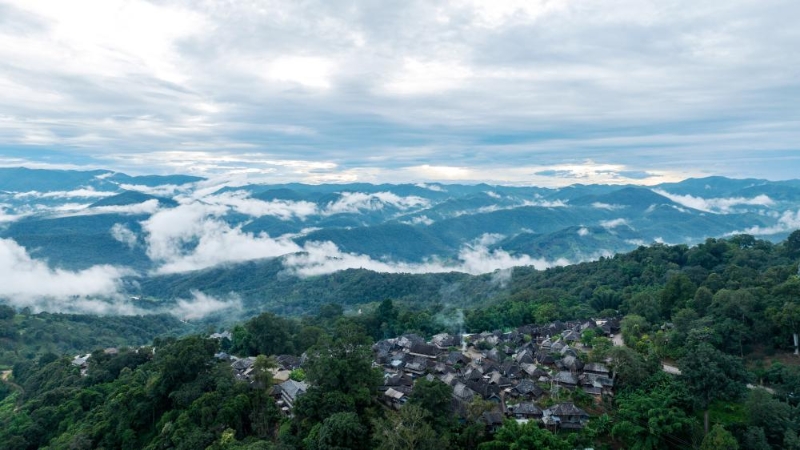 被山林與茶園環(huán)繞的景邁山翁基村一景（無(wú)人機(jī)照片，9月17日攝）