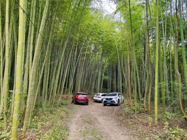 “金鐘玉鼓”鳴西蜀，彭州老君山文化傳承人王志強致力打造文旅目的地(圖5)