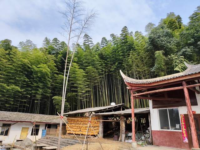 “金鐘玉鼓”鳴西蜀，彭州老君山文化傳承人王志強致力打造文旅目的地(圖4)