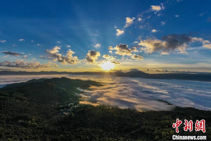 景邁山云海。 邵鴻雁攝