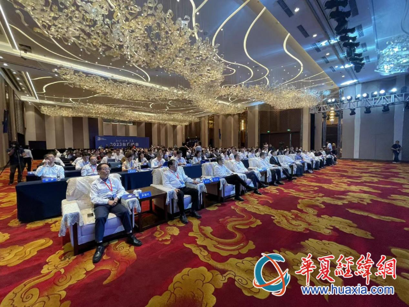 2023臺商峰會開幕式現(xiàn)場。（攝影 李昕）
