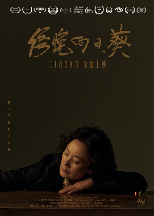 電影《傍晚向日葵》海報(bào)。