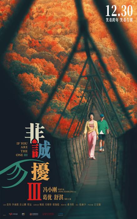圖為《非誠(chéng)勿擾3》海報(bào)