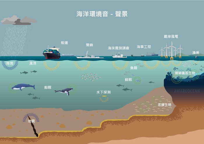 鯨豚遭離岸風(fēng)場開發(fā)、船舶噪音的危害