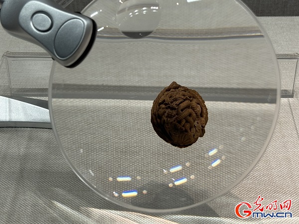 新春走基層｜春節(jié)里的博物館，“龍”味十足！
