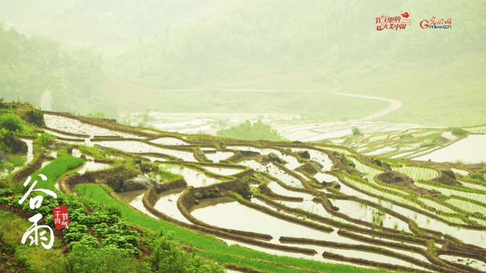 【節(jié)氣里的大美中國(guó)】來(lái)自谷雨的信丨春耕正當(dāng)時(shí)，向明亮的日子進(jìn)發(fā)！