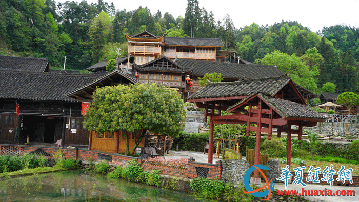 國茶村村景。（攝影：虞鷹）