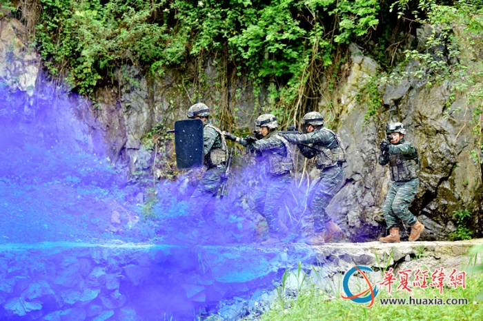 圖八：特戰(zhàn)隊(duì)員協(xié)同搜索前進(jìn)。王松青  攝_副本