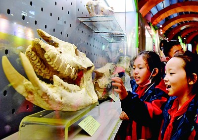 博物館研學(xué)，在行走的課堂中品讀世界
