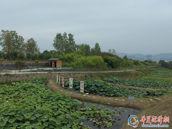 臺灣農(nóng)民創(chuàng)業(yè)園富硒水產(chǎn)養(yǎng)殖區(qū)。