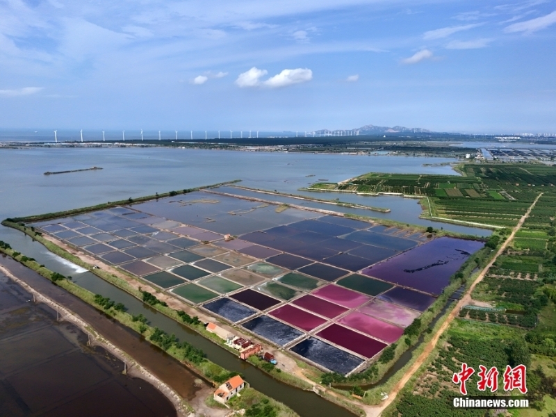 8月7日，山東省榮成市港西鎮(zhèn)朝陽港的一處鹽田在藍天白云的映襯下呈現(xiàn)出色彩斑斕、絢麗多彩的獨特景觀，成為海邊的一道靚麗風景。