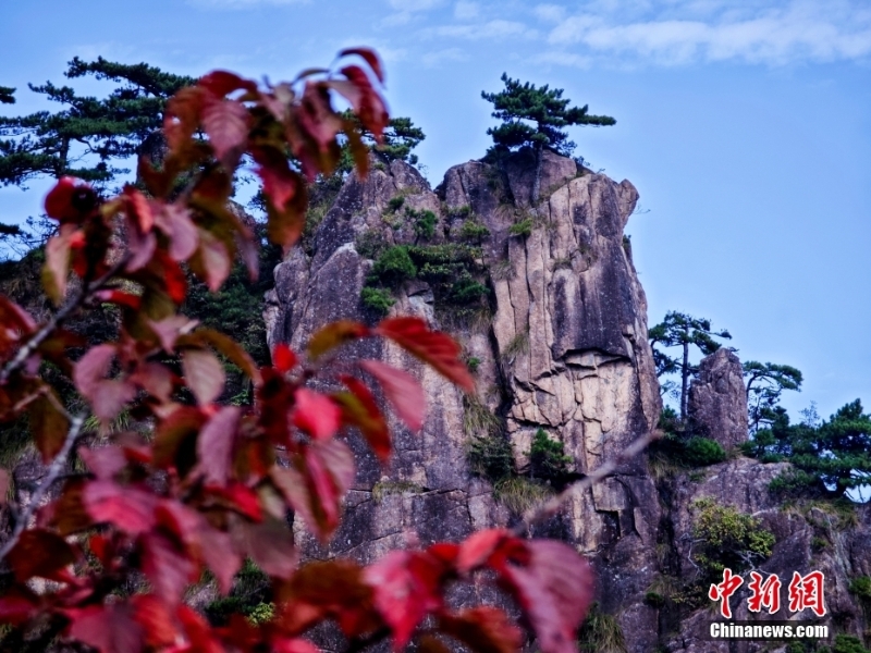 黃山秋景正當時