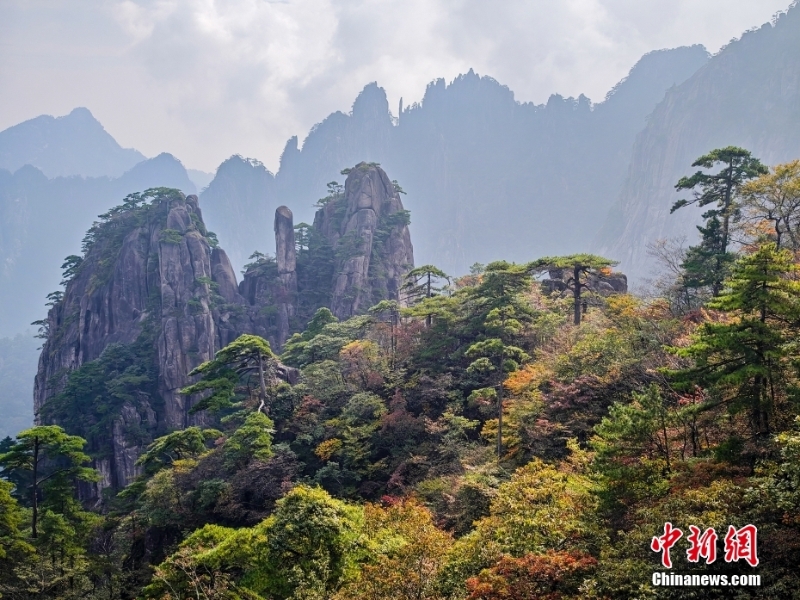 黃山秋景正當時