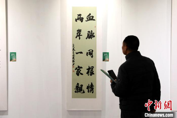 4月2日，第十八屆海峽兩岸文化藝術(shù)展在陜西西安啟幕。圖為市民參觀書法作品?！≈行律缬浾?張遠(yuǎn) 攝