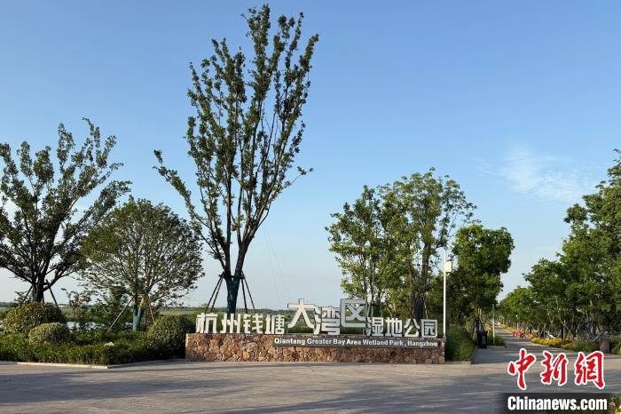 探訪浙江杭州大灣區(qū)濕地公園記錄鳥(niǎo)類140多種