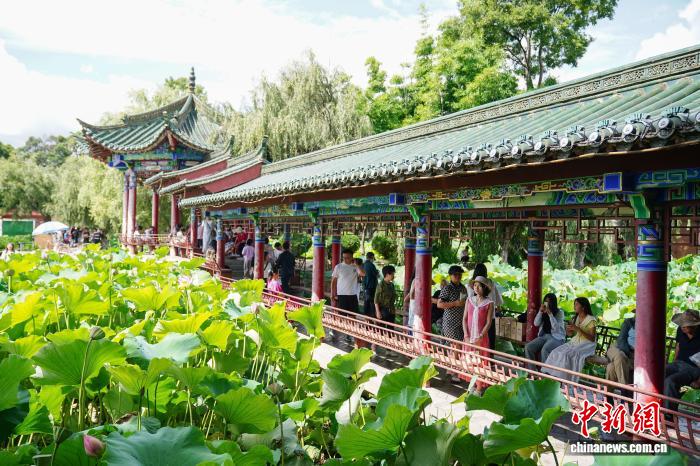 游客打卡“春城”昆明感受夏日清涼魅力