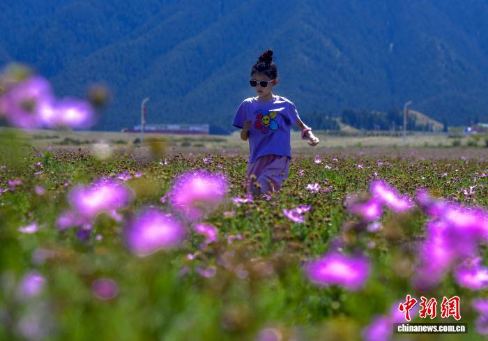 烏魯木齊：天山腳下格?；ㄊ㈤_引游客打卡
