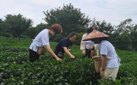3.訪熊貓家園？尋茶祖故里∣2025年兩岸大學(xué)生研學(xué)體驗之旅在四川舉辦543